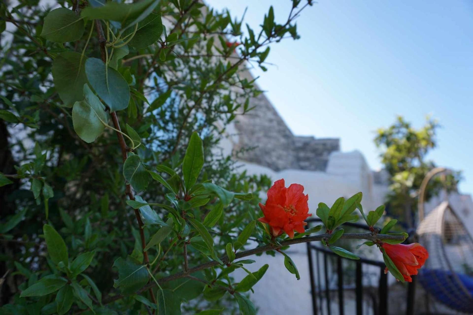 Trullo Biricchino Two Bedroom By TripОстуні Екстер'єр фото
